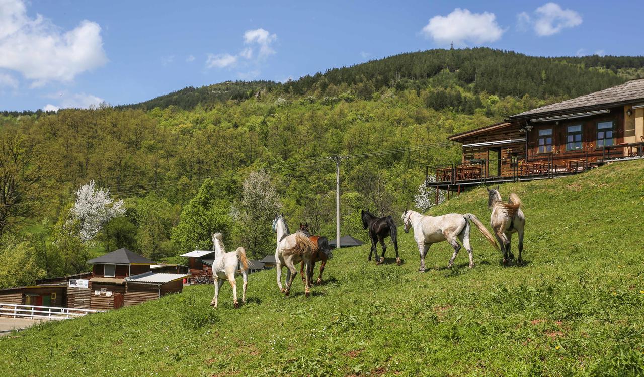 Agroturizam Gastro Ranch SJJ