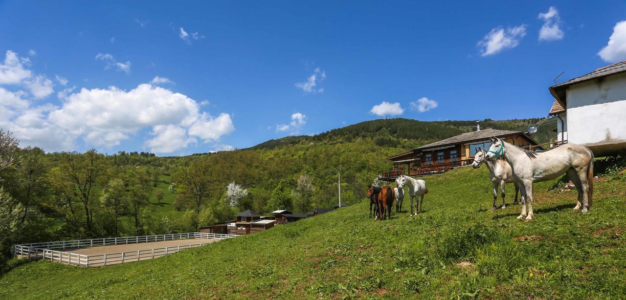 Agroturizam Gastro Ranch *